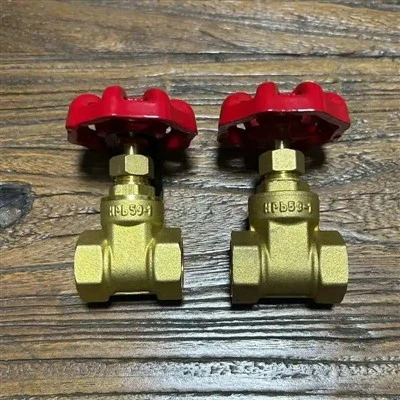 صمام بوابة 1/4 بوصة منفذ كامل ملولب NPT BS 5352